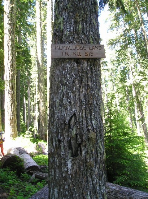 6.24-25.06 Memaloose Lake 007 